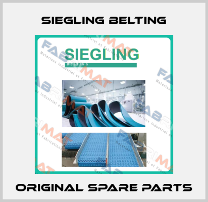 Siegling Belting