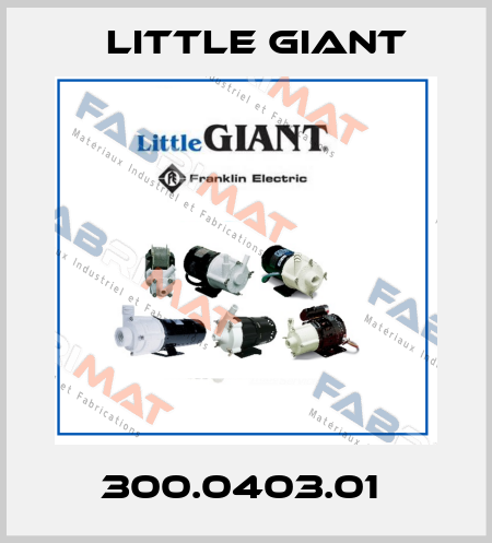 300.0403.01  Little Giant
