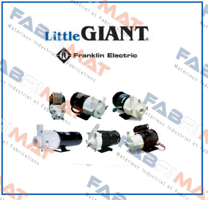 300.0403.02 Little Giant