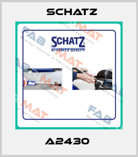 A2430  Schatz