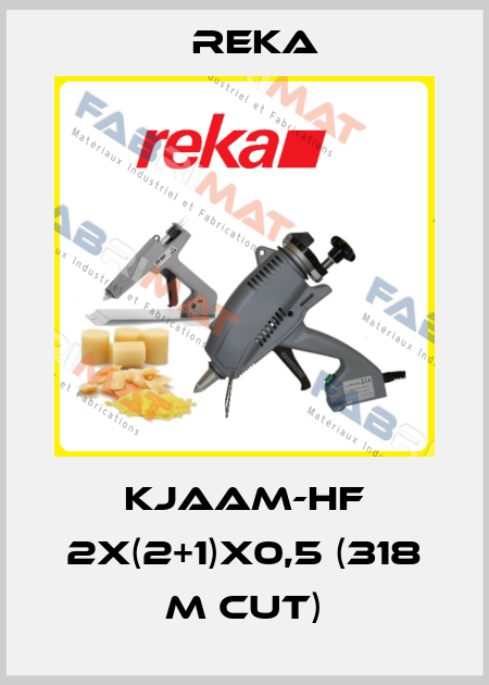 KJAAM-HF 2x(2+1)x0,5 (318 m cut) Reka