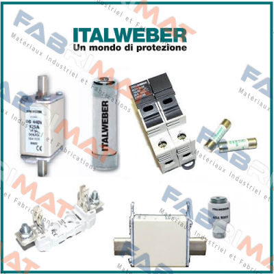 0120250  Italweber