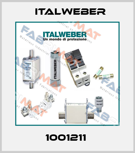1001211  Italweber