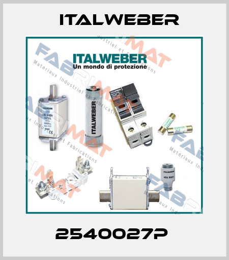 2540027P  Italweber
