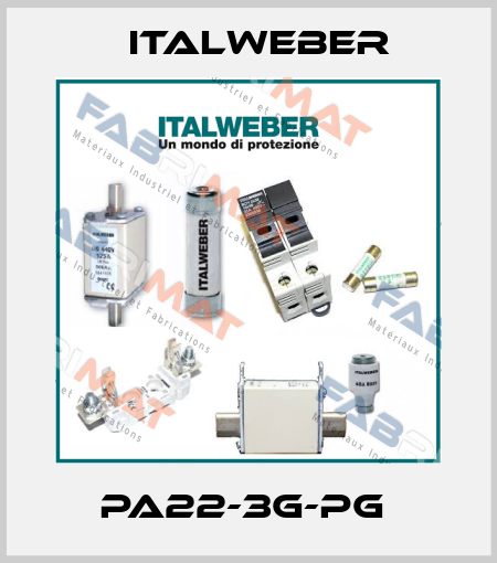 PA22-3G-PG  Italweber