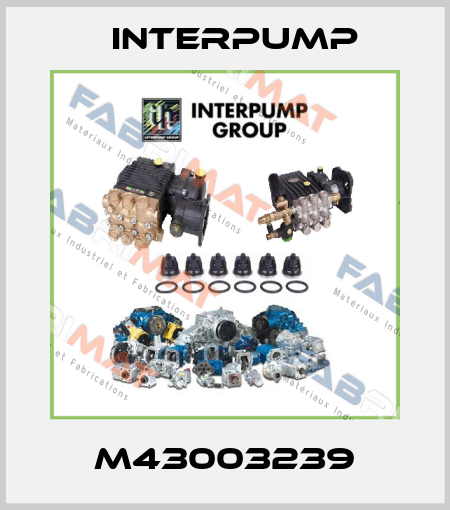 M43003239 Interpump