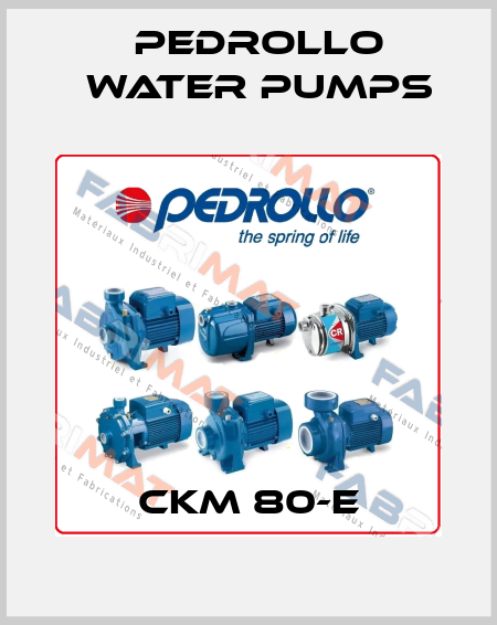 CKm 80-E Pedrollo Water Pumps