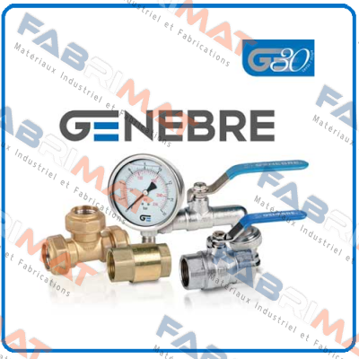 Repair kit for butterfly-valve DN300 PN10   Genebre