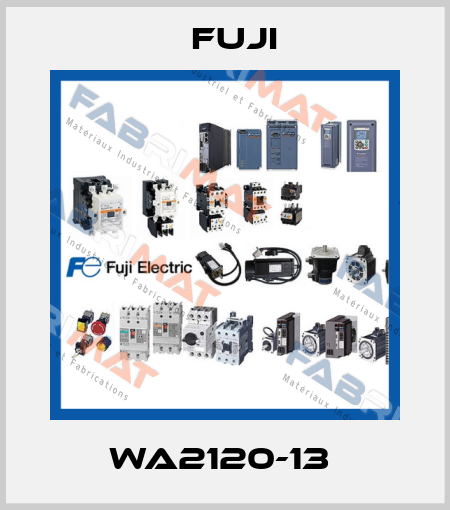 WA2120-13  Fuji