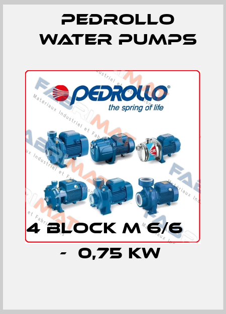 4 BLOCK M 6/6    -  0,75 KW  Pedrollo Water Pumps