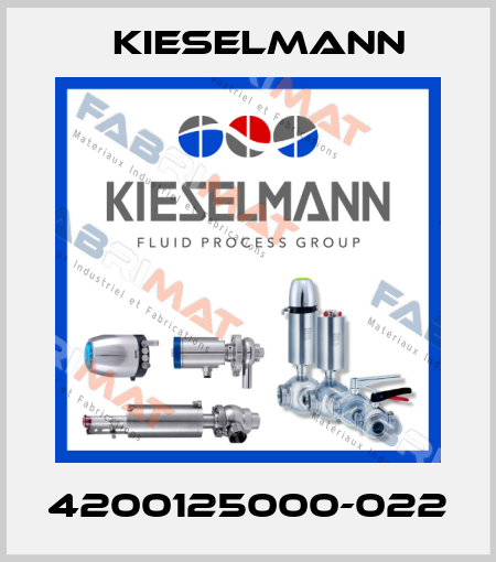 4200125000-022 Kieselmann