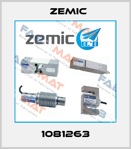 1081263 ZEMIC
