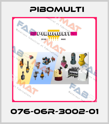 076-06R-3002-01 Pibomulti