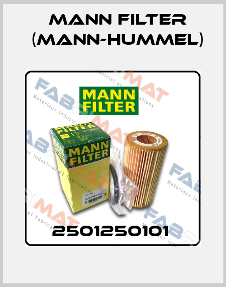 2501250101  Mann Filter (Mann-Hummel)