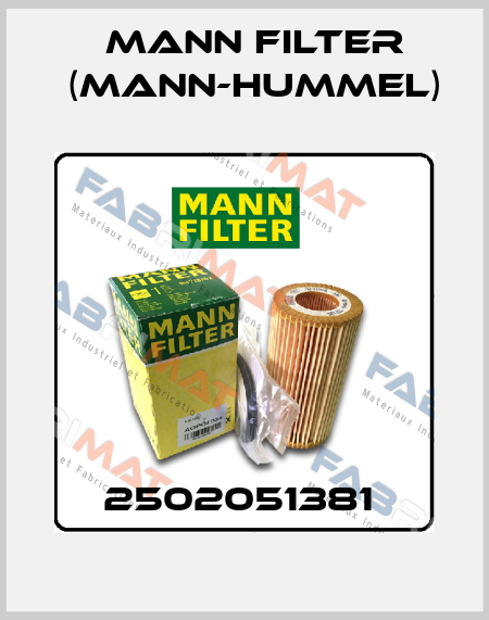 2502051381  Mann Filter (Mann-Hummel)