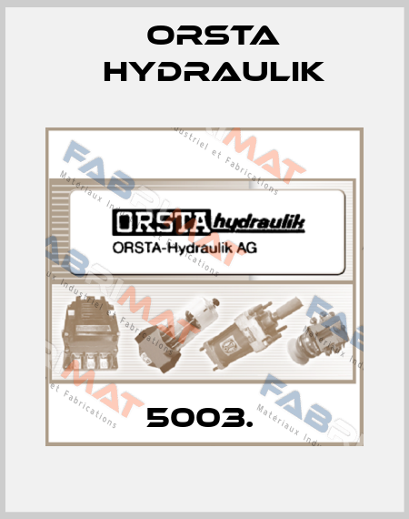 5003.  Orsta Hydraulik