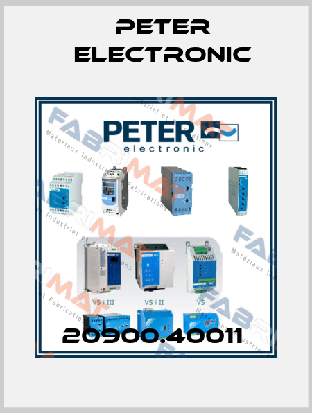 20900.40011  Peter Electronic