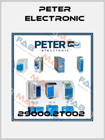 29000.2T002  Peter Electronic