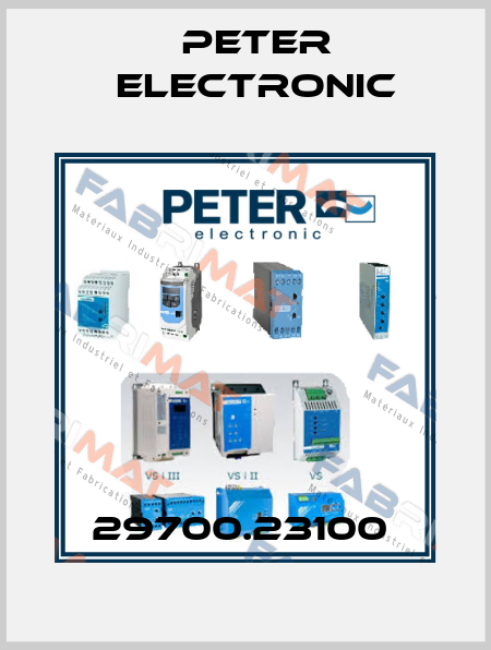 29700.23100  Peter Electronic