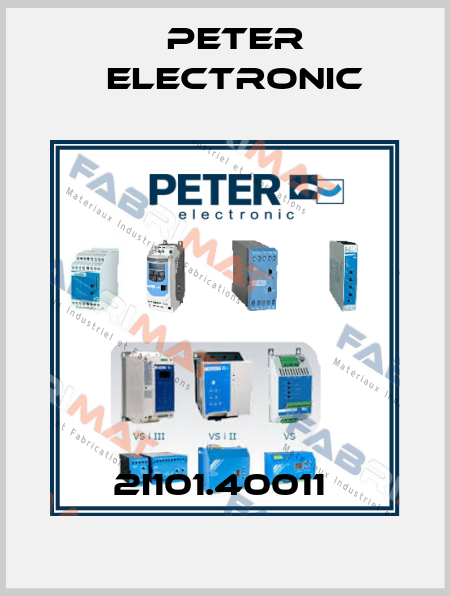 2I101.40011  Peter Electronic
