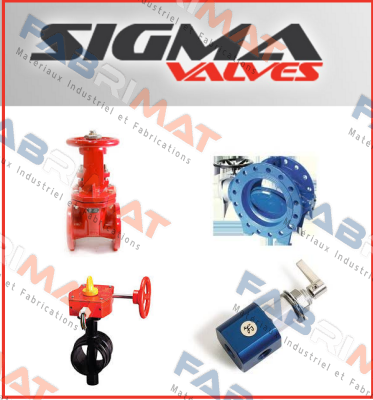 13QS39 Sigma Valves