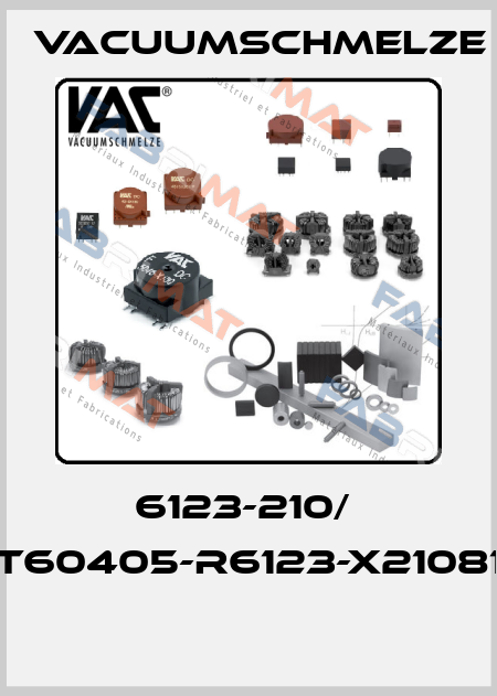 6123-210/  T60405-R6123-X21081  Vacuumschmelze