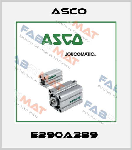 E290A389  Asco