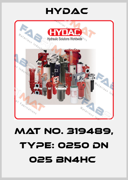 Mat No. 319489, Type: 0250 DN 025 BN4HC  Hydac