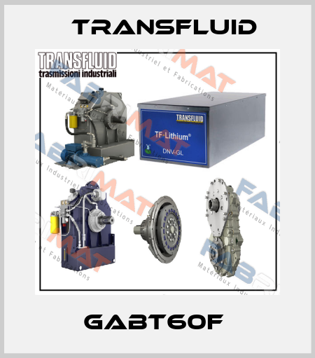 GABT60F  Transfluid