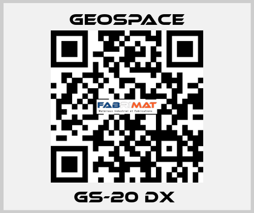 GS-20 DX  GeoSpace