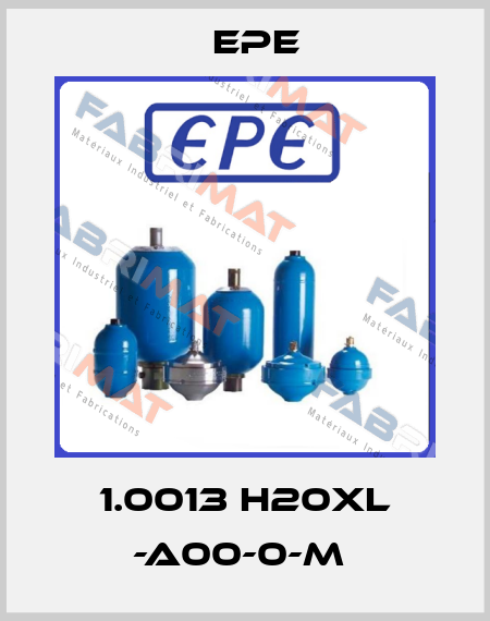 1.0013 H20XL -A00-0-M  Epe