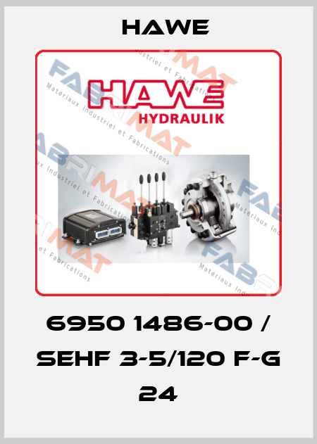 6950 1486-00 / SEHF 3-5/120 F-G 24 Hawe