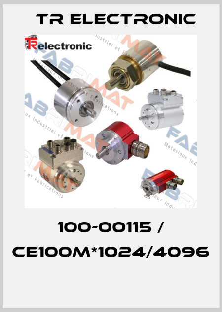 100-00115 / CE100M*1024/4096  TR Electronic