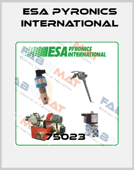 75023  ESA Pyronics International