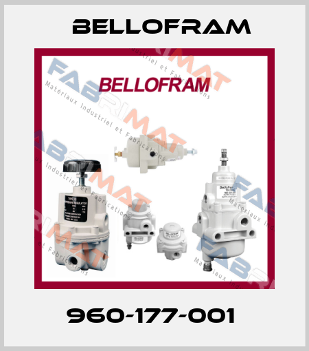 960-177-001  Bellofram