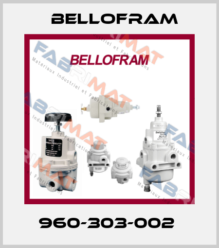 960-303-002  Bellofram