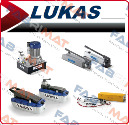 LFM 63/50 PN 500  Lukas