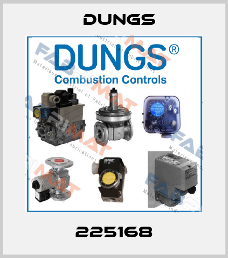 225168 Dungs