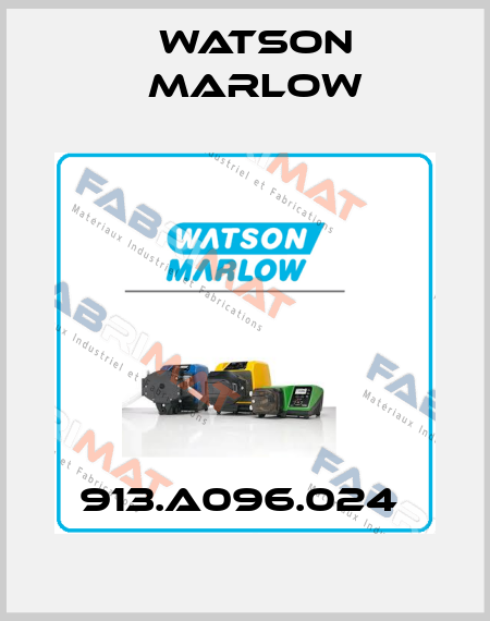 913.A096.024  Watson Marlow
