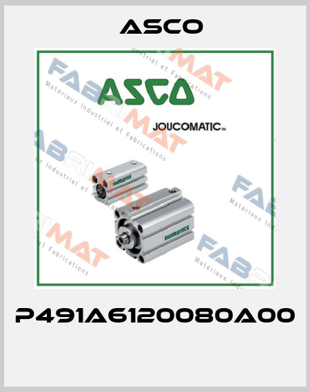 P491A6120080A00  Asco
