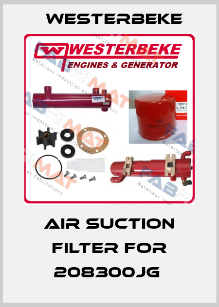 Air suction filter for 208300JG  Westerbeke