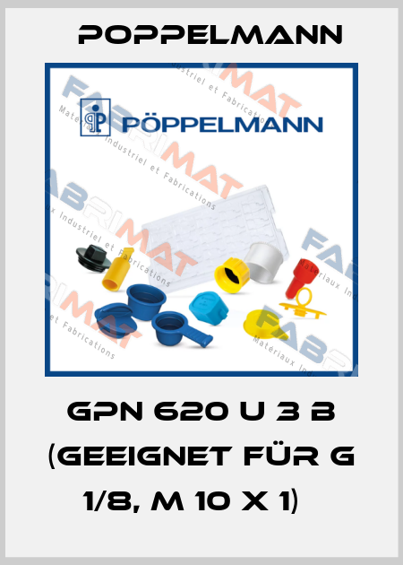 GPN 620 U 3 B (geeignet für G 1/8, M 10 x 1)   Poppelmann