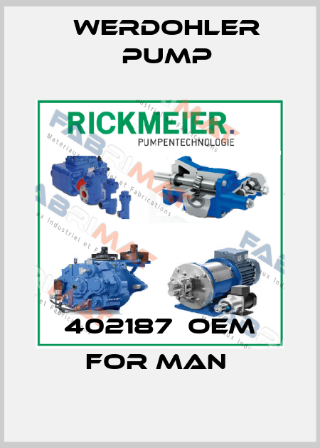 402187  OEM for MAN  Werdohler Pump