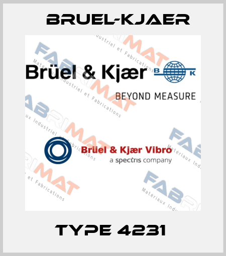 Type 4231  Bruel-Kjaer