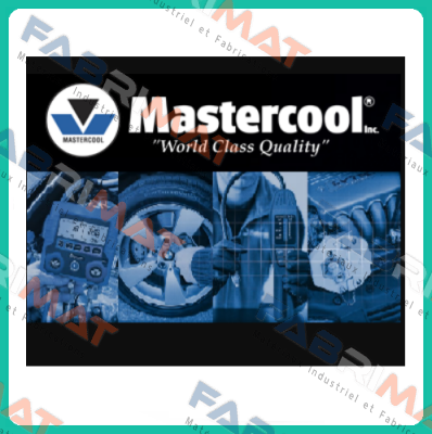 1336-010  Mastercool Inc