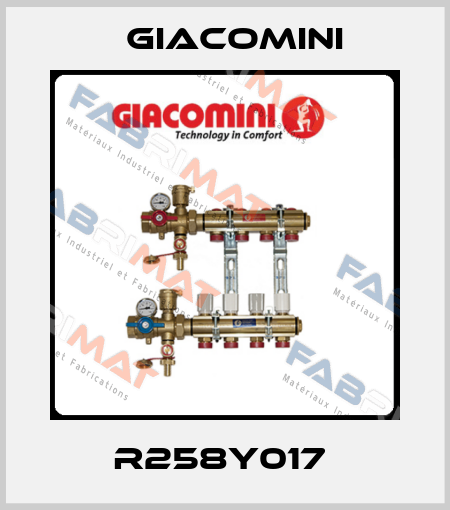 R258Y017  Giacomini
