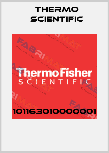 101163010000001  Thermo Scientific