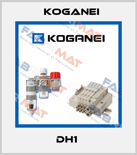 DH1  Koganei