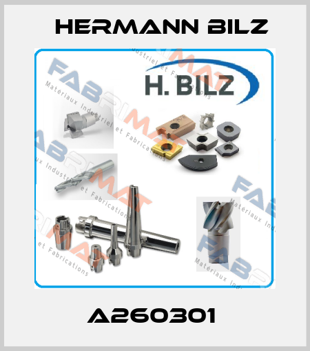 A260301  Hermann Bilz