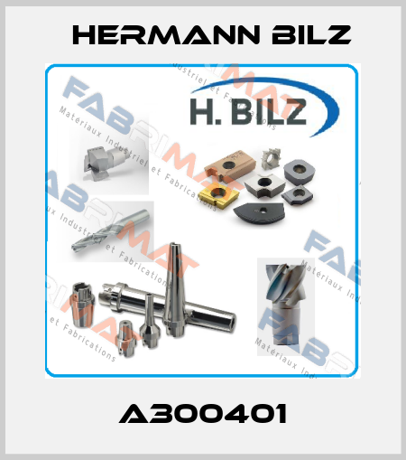 A300401 Hermann Bilz